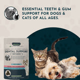 Dental Support Herbal Soft Chews | Herbal Anti-Plaque Formula | 60 Count + Free Mini Bag (20CT)