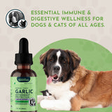 Garlic Single Herb Tonic | Antioxidant Protection