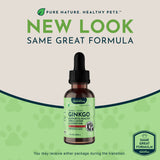 Ginkgo Single Herb Tonic | Supports Healthy Circulation & Cognition
