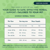Ginkgo Single Herb Tonic | Supports Healthy Circulation & Cognition