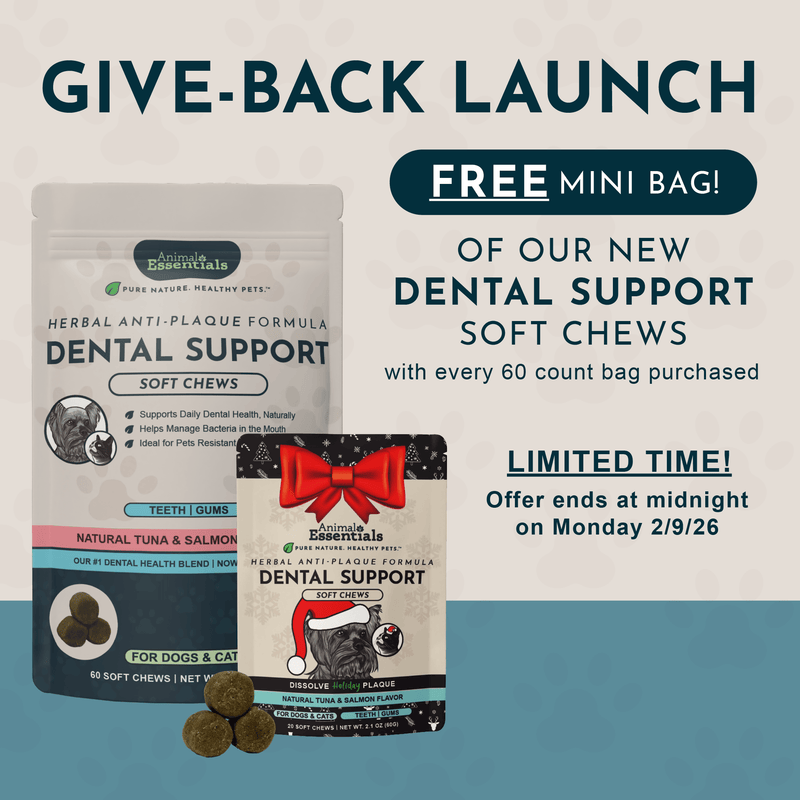 Dental Support Herbal Soft Chews | Herbal Anti-Plaque Formula | 60 Count + Free Mini Bag (20CT)