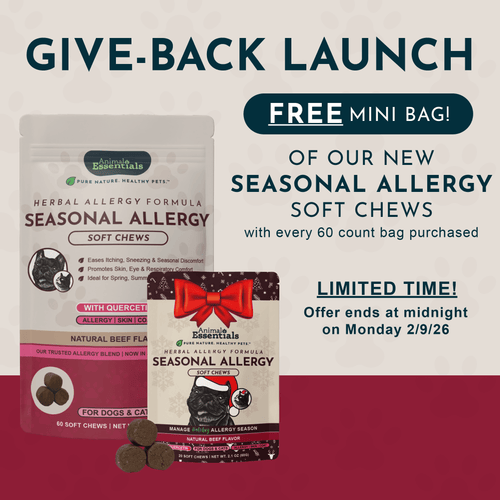 Seasonal Allergy Herbal Soft Chews | Herbal Allergy Support Formula | 60 Count + Free Mini Bag (20CT)