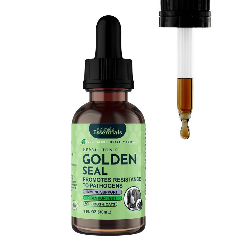 Goldenseal Single Herb Tonic | Promotes Resistance to Pathogens