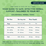 Goldenseal Single Herb Tonic | Promotes Resistance to Pathogens