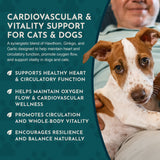 Heart Health Herbal Tonic Blend | Supports Cardiovascular Function
