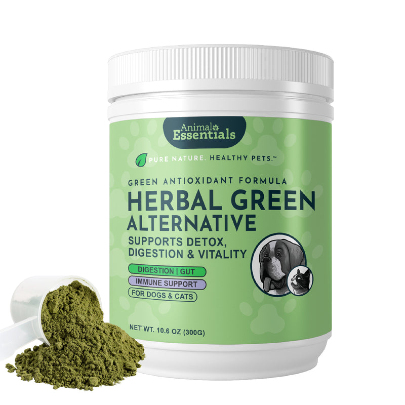 Herbal Green Alternative Powder | Supports Detox, Digestion & Vitality