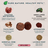 Joint Support Herbal Soft Chews | Herbal Hip + Joint Formula | 60 Count