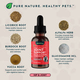 Joint Support Herbal Tonic Blend | Helps Stiffness and Soreness
