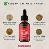 Joint Support Herbal Tonic Blend | Helps Stiffness and Soreness