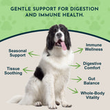 Licorice Herbal Tonic | Supports Liver, Gut & Immune System
