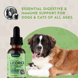 Licorice Herbal Tonic | Supports Liver, Gut & Immune System