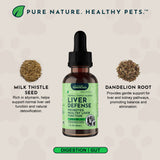 Liver Defense Herbal Tonic Blend | Healthy Liver Function