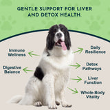 Milk Thistle Herbal Tonic | Supports Healthy Liver Function