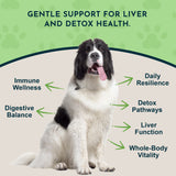 Milk Thistle Herbal Tonic | Supports Healthy Liver Function