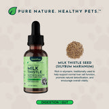 Milk Thistle Herbal Tonic | Supports Healthy Liver Function