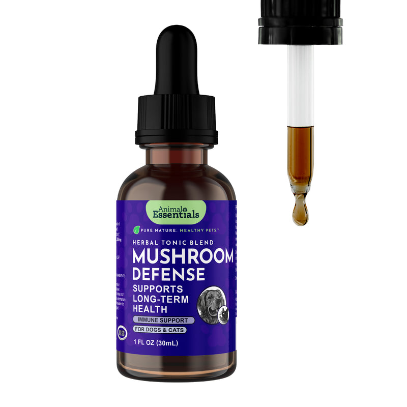 Mushroom Defense Herbal Tonic Blend | Supports Long-Term Health