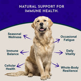 Mushroom Defense Herbal Tonic Blend | Supports Long-Term Health