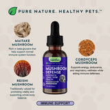 Mushroom Defense Herbal Tonic Blend | Supports Long-Term Health