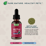 Nettle Herbal Tonic | Allergy Support