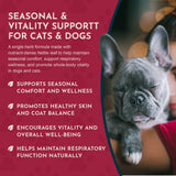 Nettle Herbal Tonic | Allergy Support