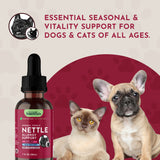 Nettle Herbal Tonic | Allergy Support