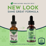 Olive Leaf Herbal Tonic | Promotes Resistance to Pathogens