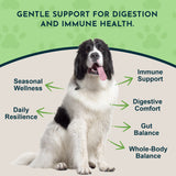 Olive Leaf Herbal Tonic | Promotes Resistance to Pathogens