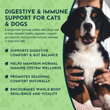 Olive Leaf Herbal Tonic | Promotes Resistance to Pathogens