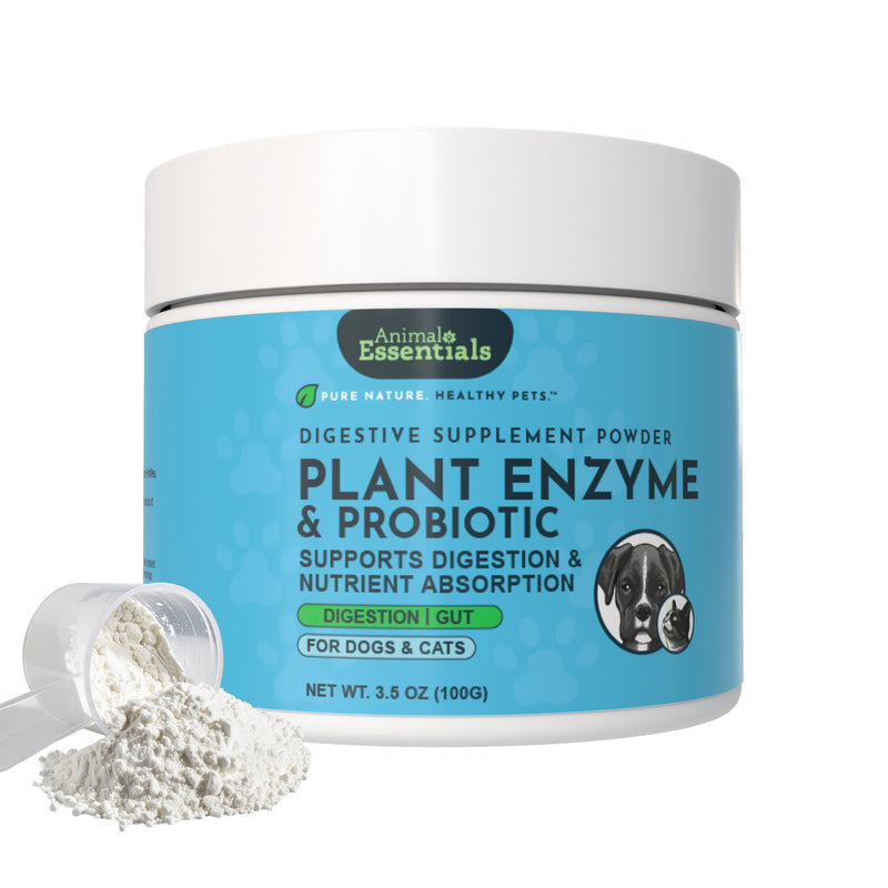 Plant Enzyme and Probiotic Powder | Digestive Support