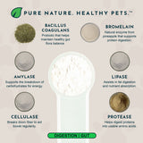 Plant Enzyme and Probiotic Powder | Digestive Support