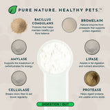 Plant Enzyme and Probiotic Powder | Digestive Support