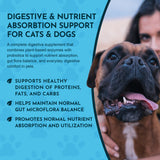 Plant Enzyme and Probiotic Powder | Digestive Support