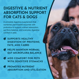 Plant Enzyme and Probiotic Powder | Digestive Support