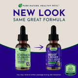 Resist & Renew | Immune Boost