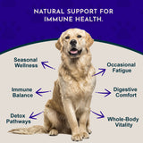 Resist & Renew | Immune Boost