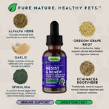 Resist & Renew | Immune Boost