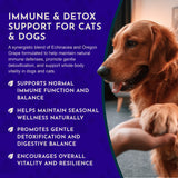 Resist & Renew | Immune Boost