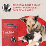 Sea-Cal | Seaweed Calcium Supplement Powder | Strong Bones & Healthy Joints | 340G