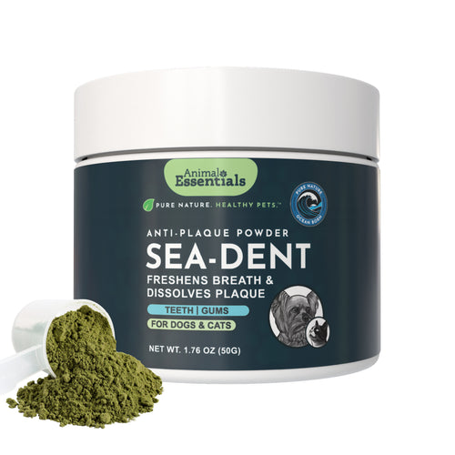 Sea-Dent Anti-Plaque Powder | Plaque Dissolving Plant Enzymes