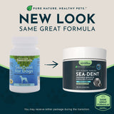 Sea-Dent Anti-Plaque Powder | Plaque Dissolving Plant Enzymes
