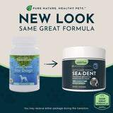Sea-Dent Anti-Plaque Powder | Plaque Dissolving Plant Enzymes