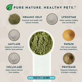 Sea-Dent Anti-Plaque Powder | Plaque Dissolving Plant Enzymes