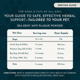 Sea-Dent Anti-Plaque Powder | Plaque Dissolving Plant Enzymes