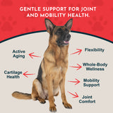 Sea-Flex Joint Powder | For Healthy Joints and Mobility