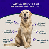 Sea-Vital | Trace Mineral Powder | Micronutrients Balanced Diet