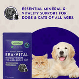 Sea-Vital | Trace Mineral Powder | Micronutrients Balanced Diet