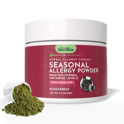 Seasonal Allergy Powder + Quercetin | Allergy Support