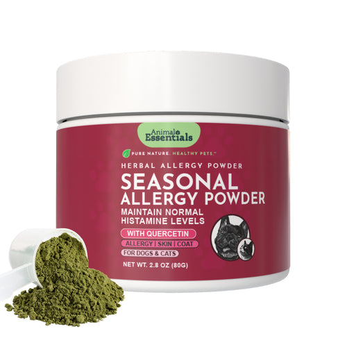 Seasonal Allergy Powder + Quercetin | Allergy Support