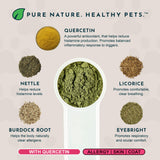 Seasonal Allergy Powder + Quercetin | Allergy Support
