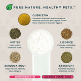 Seasonal Allergy Powder + Quercetin | Allergy Support